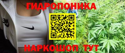 соль ск Тулун